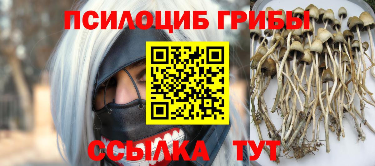 Галлюциногенные грибы прущие грибы Торжок